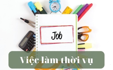 Có nên làm việc làm thời vụ lương ngày