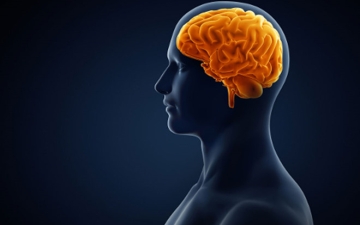 10 cách rèn luyện trí não để thông minh hơn mỗi ngày