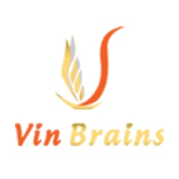 Công ty CP Vin Brains